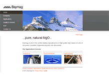 Tablet Screenshot of baymag.com